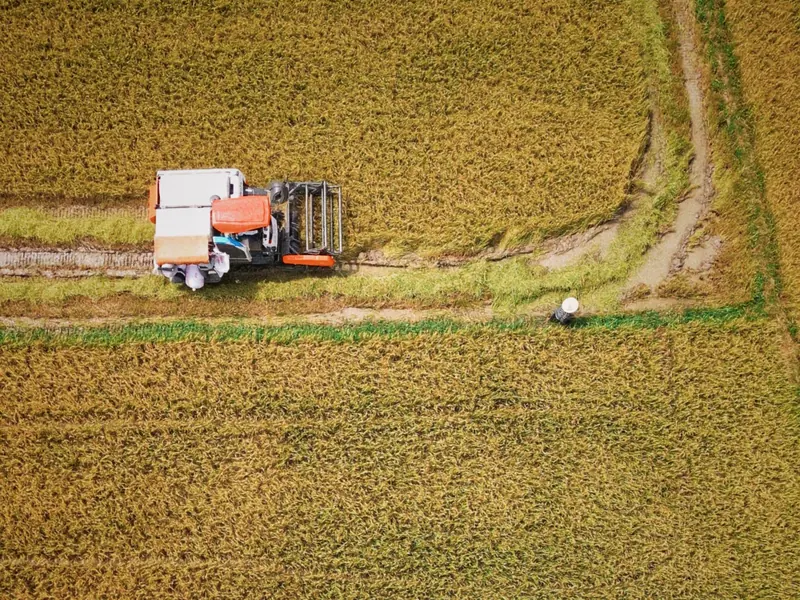 Agricultural Image